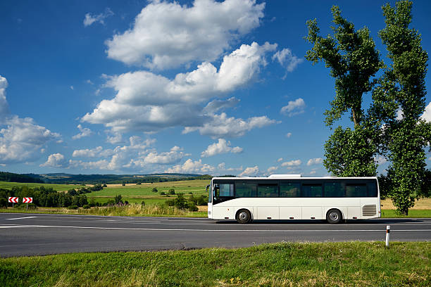 Biały autobus jadący asfaltową drogą obok dwóch wysokich topoli na wsi pod błękitnym niebem z białymi, dramatycznymi chmurami.